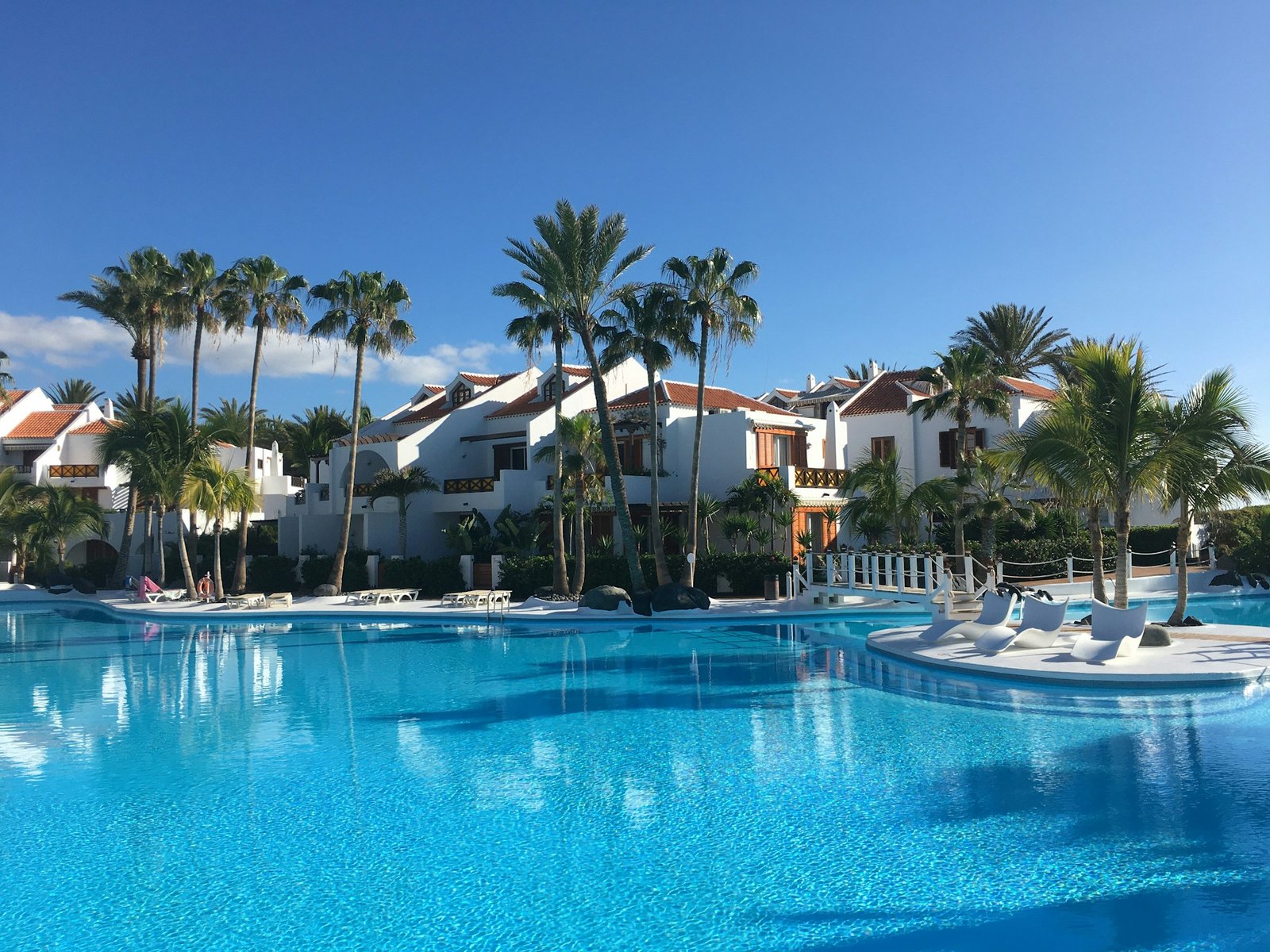 pool with palm trees